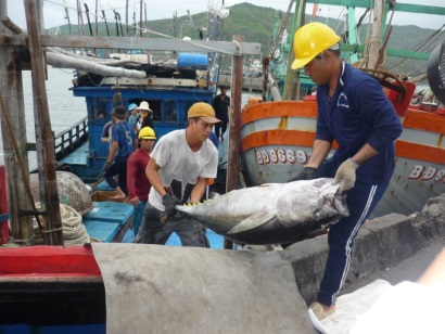 Phát triển kinh tế biển gắn với đảm bảo quốc phòng - an ninh tại Bình Định Gặt hái được thành tựu nổi bật