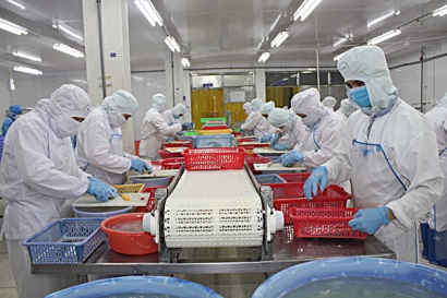 Xuất khẩu thủy sản gặp khó vì cước tàu biển tăng cao