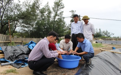 Quảng Trị Giảm rủi ro từ mô hình nuôi tôm 2 giai đoạn