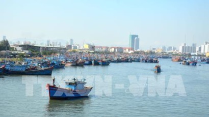 Thanh Hóa khắc phục “thẻ vàng” IUU
