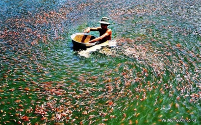 IDI báo lãi sau thuế 462 tỷ đồng trong 9 tháng, gấp đôi cùng kỳ