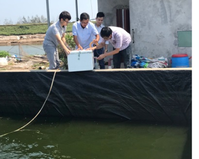 Giám sát môi trường nước áp dụng công nghệ LORA vào nuôi tôm