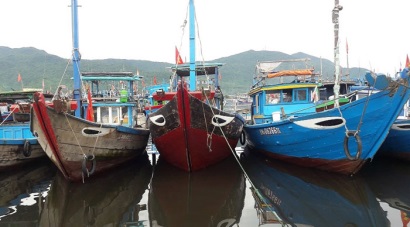 Đà Nẵng Đẩy mạnh công tác ngăn chặn khai thác thủy sản bất hợp pháp