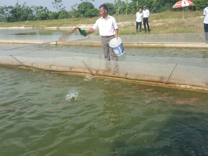 Hướng đi mới trong nuôi trồng thủy sản