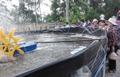 Nghệ An Tập huấn kỹ thuật nuôi tôm 2 giai đoạn