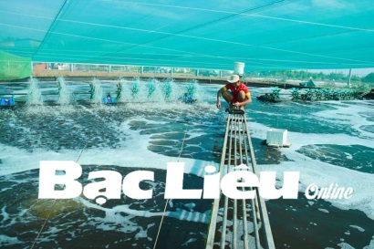 Thời điểm giao mùa Cần chủ động phòng ngừa dịch bệnh trên tôm