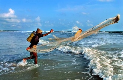 Tìm giải pháp năng lượng bền vững cho ngành gỗ và thủy sản ở Việt Nam