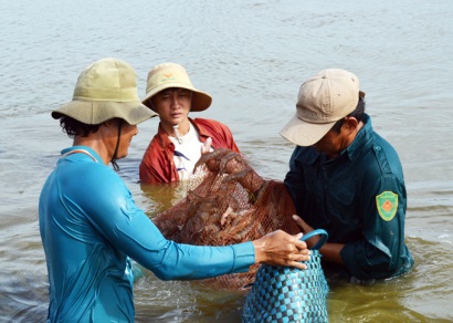 Điện ngốn 10% chi phí đầu tư cho nuôi tôm