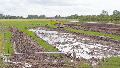 Đồng Tháp Mười Diện tích nuôi cá tra giống gia tăng