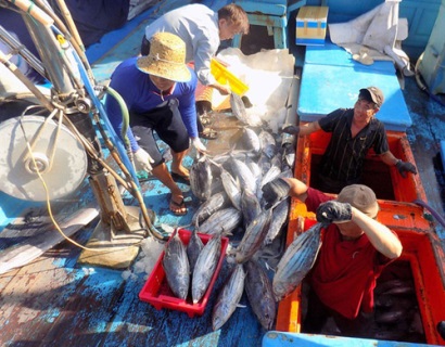 Sau 1 năm EC phạt thẻ vàng Nhiều tiến bộ trong khắc phục