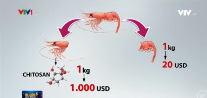 Phụ phẩm tôm có thể mang về cho nền kinh tế 3 tỷ USDnăm