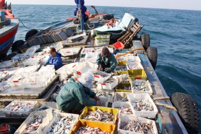 Sẽ có hạn ngạch giấy phép khai thác thủy sản