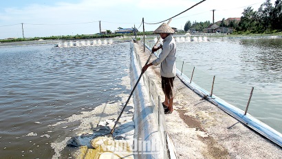 Nam Định Nhiều giải pháp kỹ thuật cải tạo nguồn nước trong nuôi thủy sản