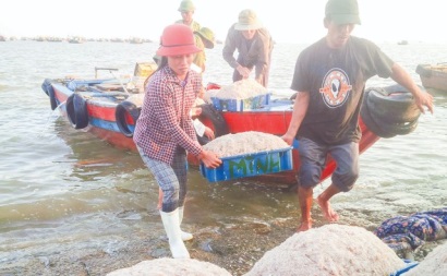 Thanh Hóa Giá trị sản xuất thủy sản toàn tỉnh đạt 5.304,1 tỷ đồng