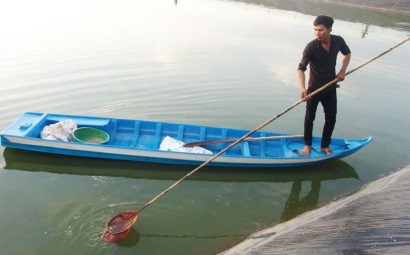 Tăng cường công tác quản lý hoạt động ương cá tra giống