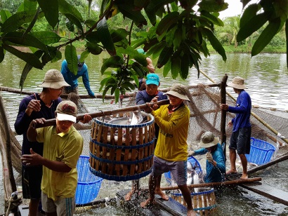 An Giang Thủy sản tăng tốc phát triển