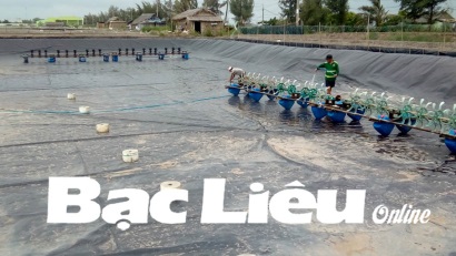 Vệ sinh an toàn thực phẩm trong nuôi tôm Hướng tới xây dựng nghề nuôi tôm bền vững