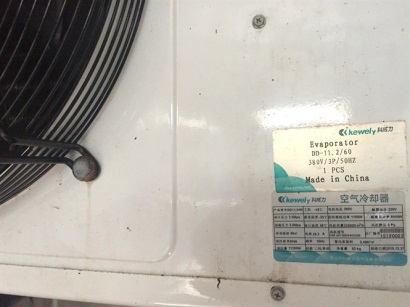 Ngư dân Bình Định dùng công nghệ Nhật khai thác cá ngừ đại dương