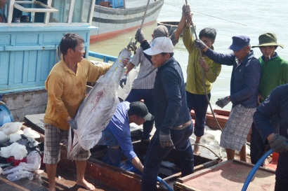 Khai thác hải sản xa bờ Tiếp tục triển khai chính sách hỗ trợ ngư dân