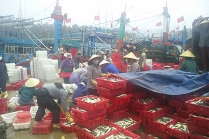 Nghệ An sản lượng thủy sản 11 tháng năm 2018 tăng 10,88% so với cùng kỳ năm 2017