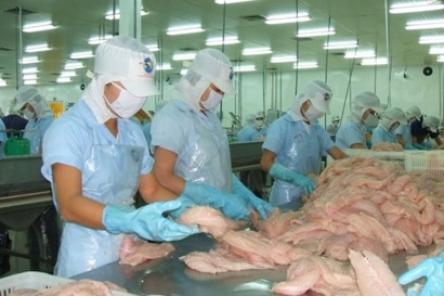 Giá trị xuất khẩu cá tra bất ngờ đạt mức cao nhất từ trước đến nay