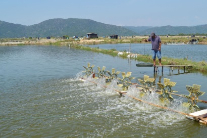 Nuôi thủy sản năm 2019 Cần tuân thủ lịch thời vụ và tăng cường quản lý vùng nuôi