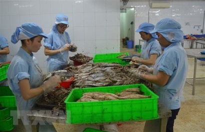 Khắc phục thẻ vàng IUU Phát triển nghề cá theo thông lệ quốc tế