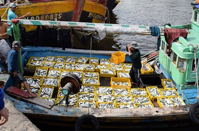 Nỗ lực khắc phục cảnh báo “thẻ vàng”