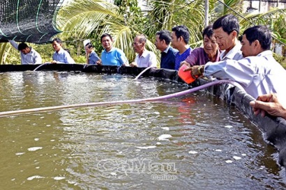 Nhân rộng mô hình nuôi tôm 2 giai đoạn