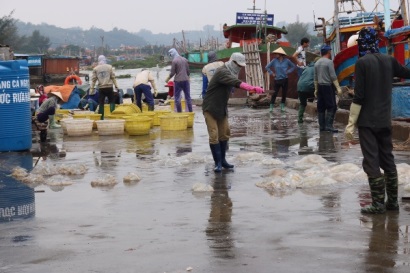 Hải Phòng Các phương tiện đánh bắt thủy, hải sản đã ghi nhật ký nguồn gốc khai thác