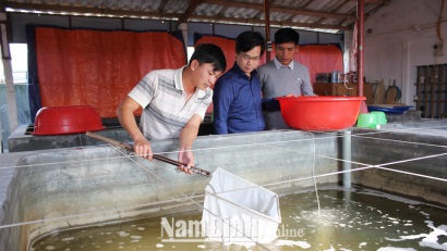 Nam Định Hải Hậu chủ động con giống cho phát triển nuôi thủy sản