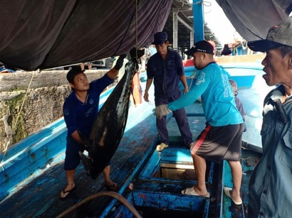 Niềm vui chuyến biển cuối năm, nhiều tàu cá lãi hàng trăm triệu đồng