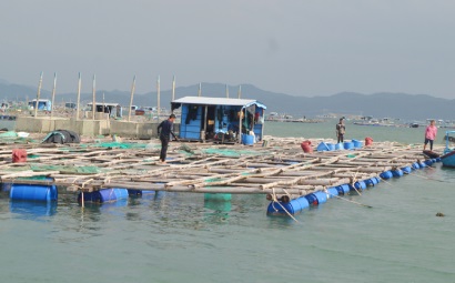 Hướng đến phát triển nuôi biển bền vững