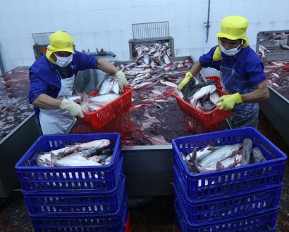 Ngành nông nghiệp năm 2018 Thắng lợi toàn diện