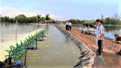 Long An Sở Nông nghiệp và Phát triển nông thôn khuyến cáo khung mùa vụ nuôi tôm năm 2019