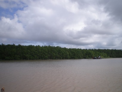 Trà Vinh Trên 200 hộ ngư dân được hỗ trợ nâng cao giá trị tôm nuôi dựa vào hệ sinh thái rừng ngập mặn