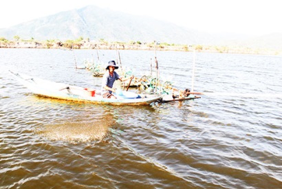 Nuôi tôm nước lợ năm 2019 Những vấn đề cần lưu ý