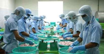 Thủy sản Cửu Long An Giang báo lãi quý IV tăng đột biến, cổ phiếu tăng kịch biên độ