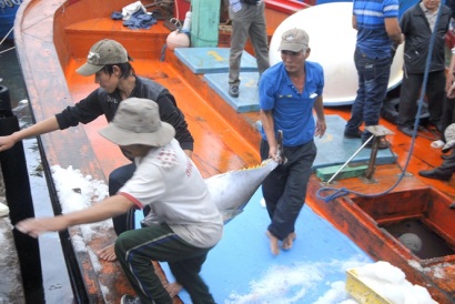 Bội thu đầu năm, ngư dân Bình Định chuẩn bị chuyến biển xuyên tết