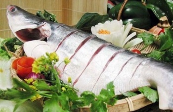 Doanh nghiệp cá tra 2019 Cơ hội đẩy mạnh mặt hàng giá trị gia tăng