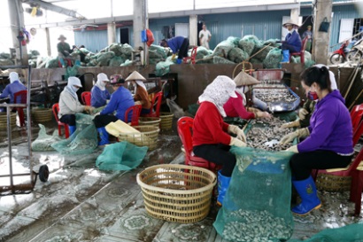 Ninh Bình Thủy sản tiếp nối một năm thành công