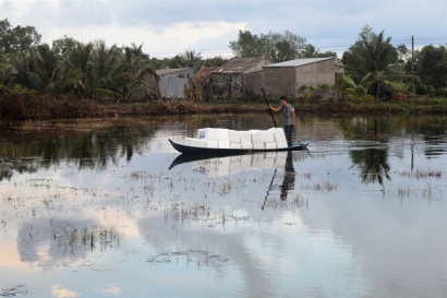 Rộn ràng vào vụ tôm mới