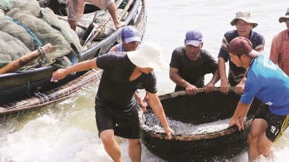 Ngư dân miền Trung trúng đậm “lộc biển”