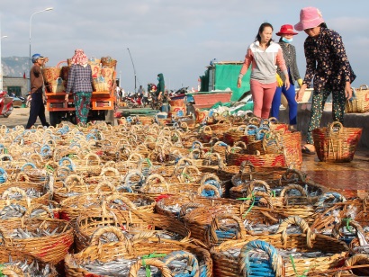 Khánh Hải (Ninh Hải, Ninh Thuận) Ngư dân trúng lộc biển đầu xuân mới