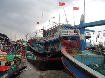 Ngư dân Ninh Thuận phấn khởi với mẻ cá thuận lợi đầu năm