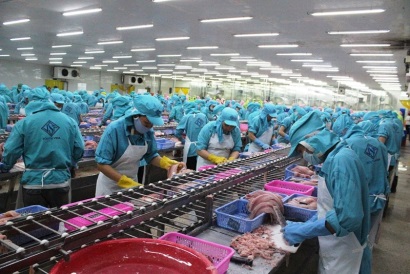 SOUTH VINA Niềm tin, uy tín và chất lượng hàng đầu