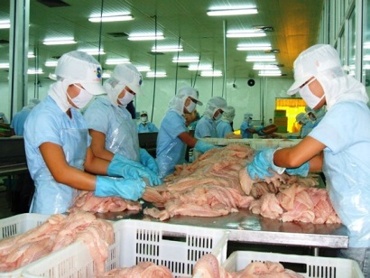 Năm 2019 Xuất khẩu cá tra nỗ lực đạt 2,4 tỷ USD