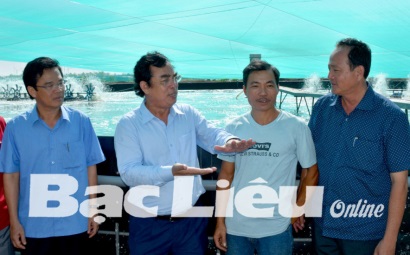 Bạc Liêu Hướng đến thành lập hợp tác xã nuôi tôm công nghệ cao