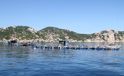 Nuôi tôm đảm bảo an toàn thực phẩm Hiệu quả bước đầu