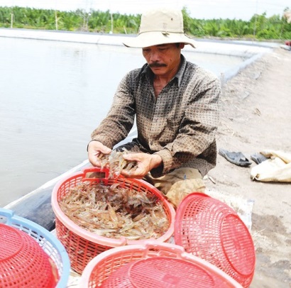3 khó khăn chính kiềm hãm ngành thủy sản